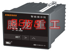 溫度表、數(shù)字顯示儀、濕度表