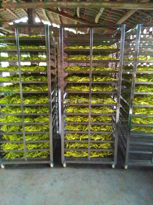 黃花菜烘干機、黃花菜烘干設備、黃花菜干燥機、黃花菜干燥設備、